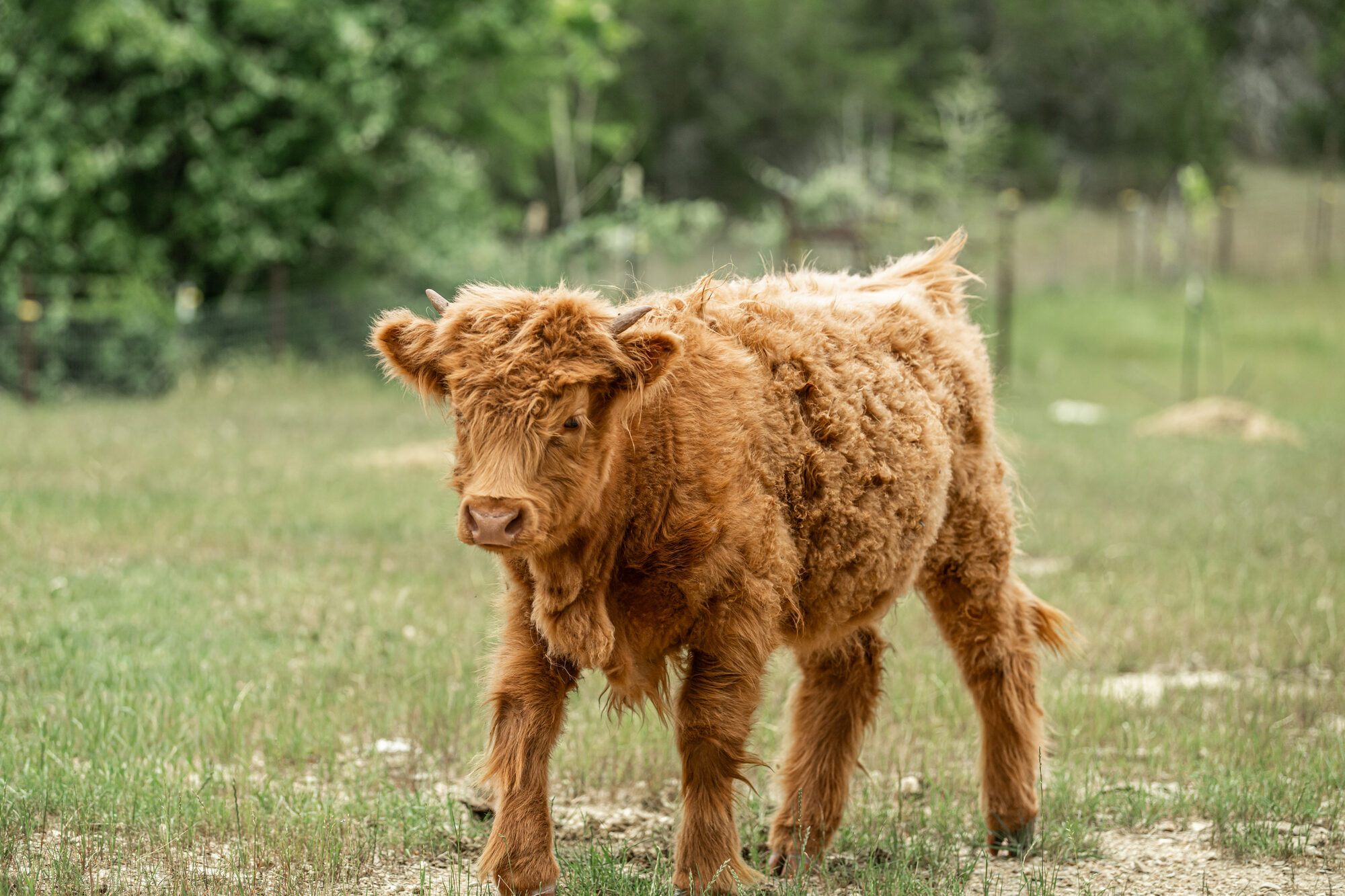 Family Visits at the Ranch